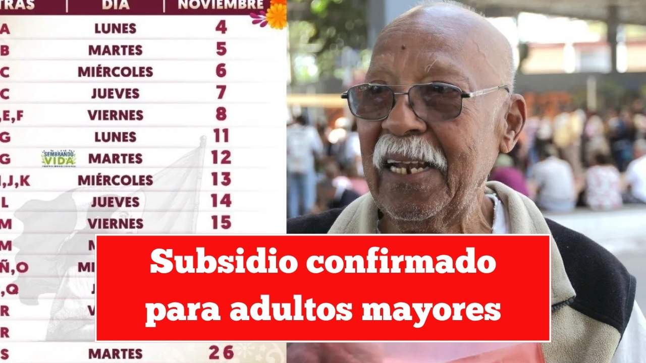Subsidio confirmado para adultos mayores: elegibilidad y pagos 2025